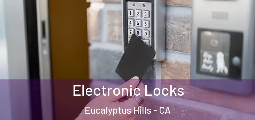  Electronic Locks Eucalyptus Hills - CA