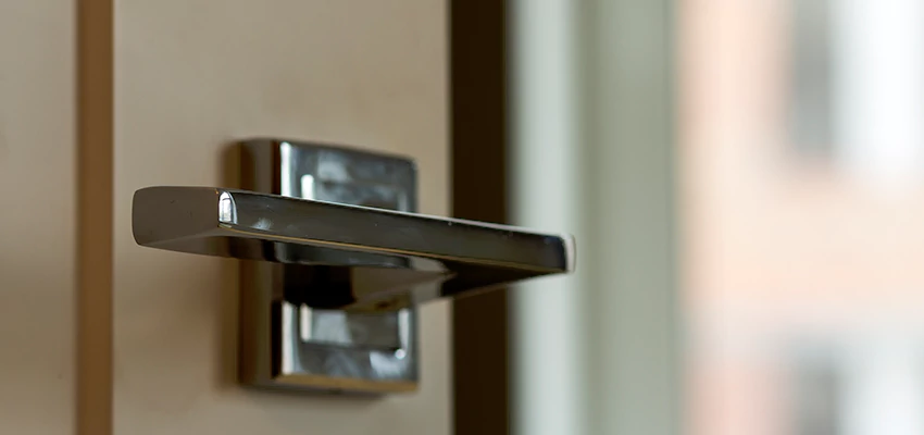 Door Lever Knob Repair in Eucalyptus Hills, California