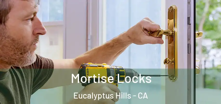  Mortise Locks Eucalyptus Hills - CA