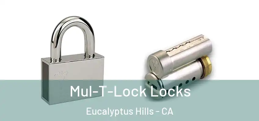  Mul-T-Lock Locks Eucalyptus Hills - CA